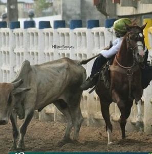 Meet your Posher, Julio manuel